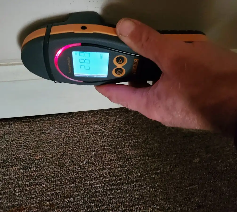 Moisture detection at baseboard during Sewage Cleanup & Sanitation in Newark